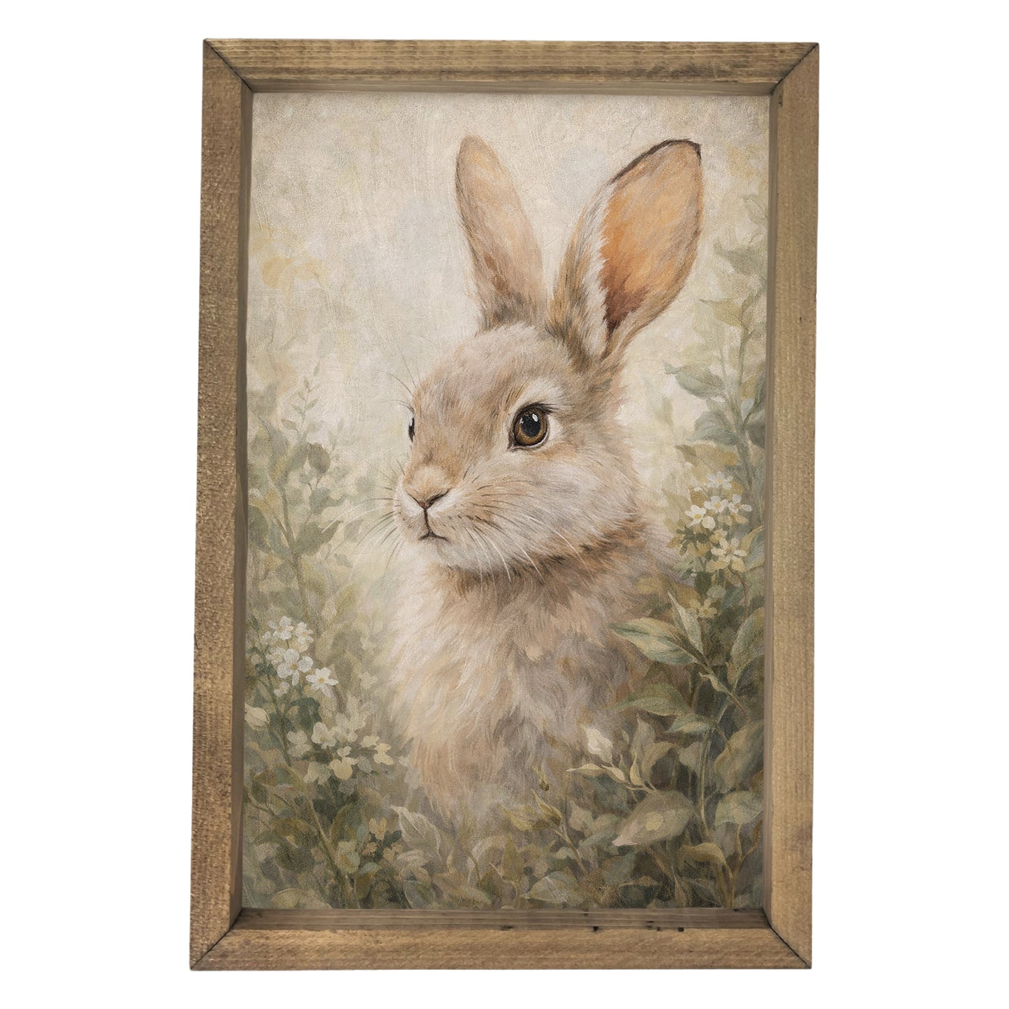 Bunny Portrait Framed Art