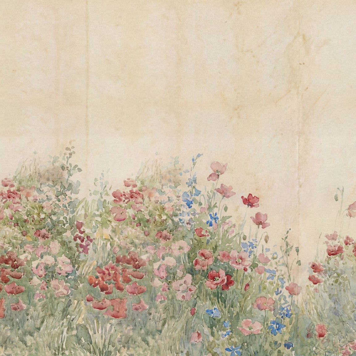 Amelia's Garden Wallpaper