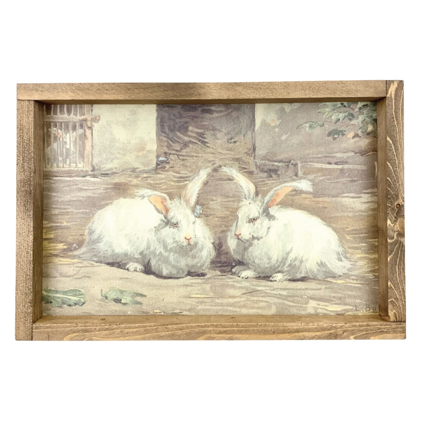 Pair of White Rabbits Framed Art