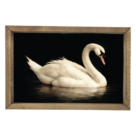 Black Swan Framed Art